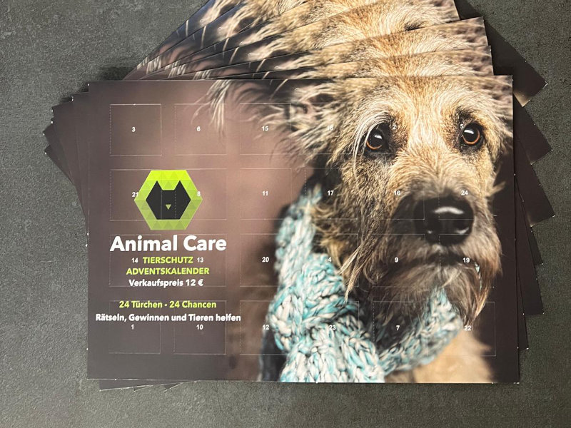 Adventskaleder_AC_2025.jpg